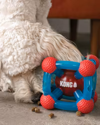 KONG Rewards Tinker