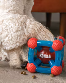 KONG Rewards Tinker