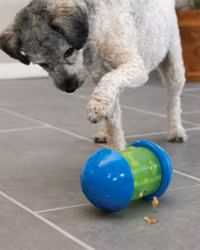 KONG Spin It