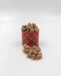 Raw for Paw Wild Deer 45g Hundgodis