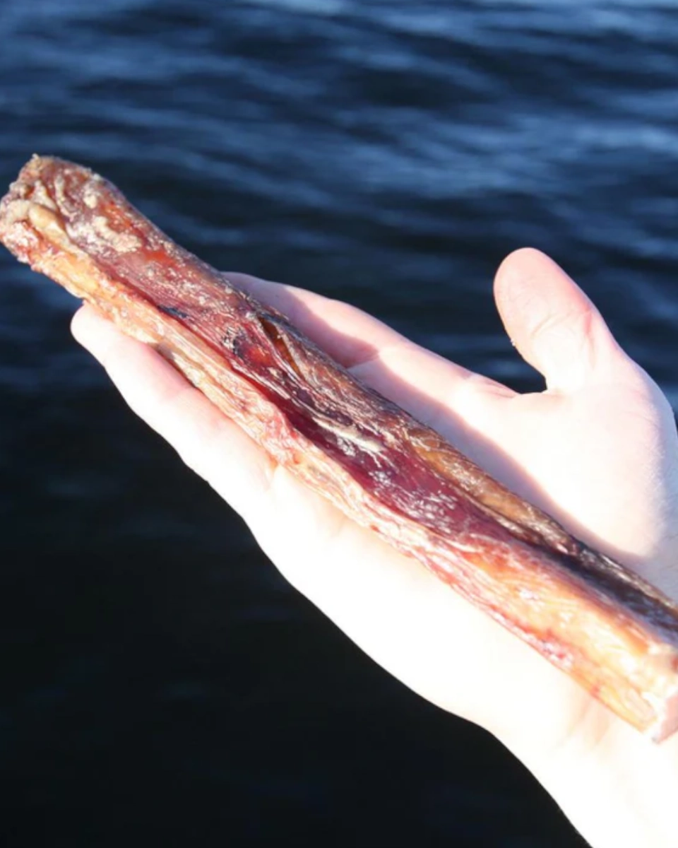 TassaFritt Tjurmuskel 20cm Hundgodis