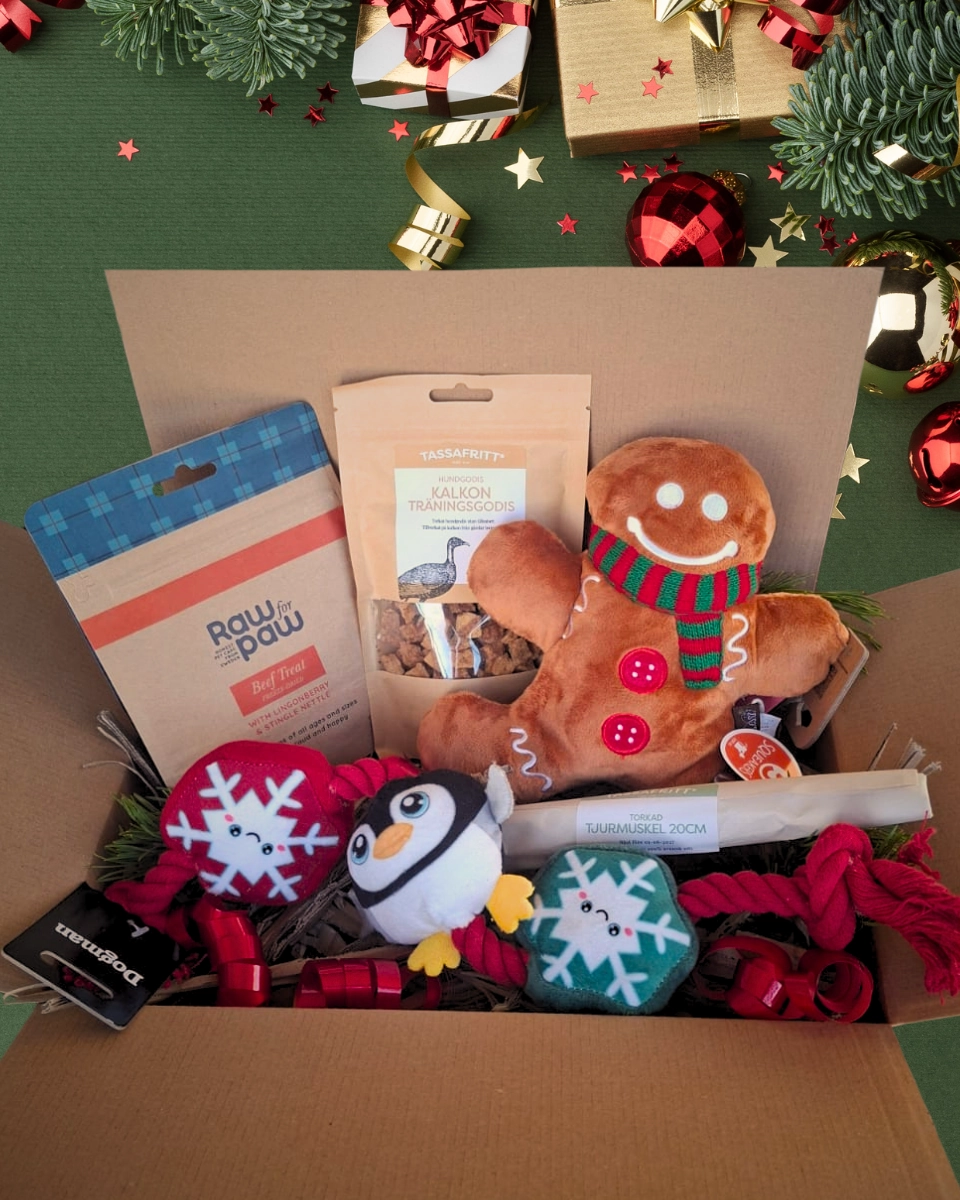 Jullåda - Lek och Godis