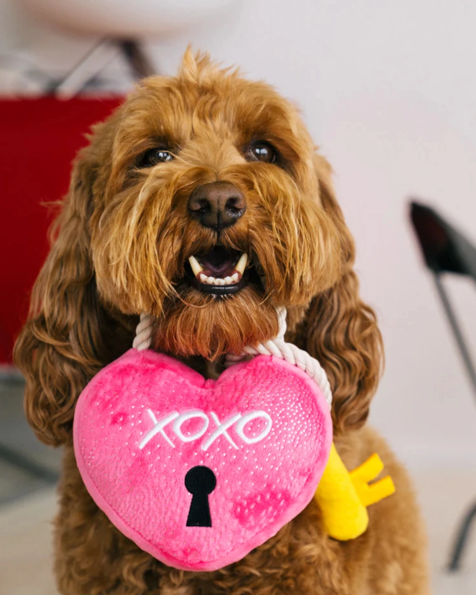 Alla Hjärtans Dag Box - Hjärtelås