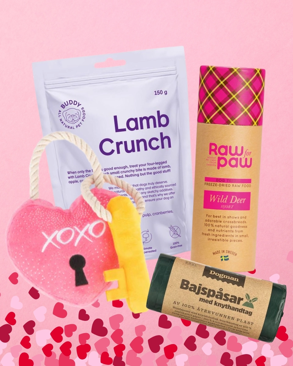 Alla Hjärtans Dag Box - Hjärtelås