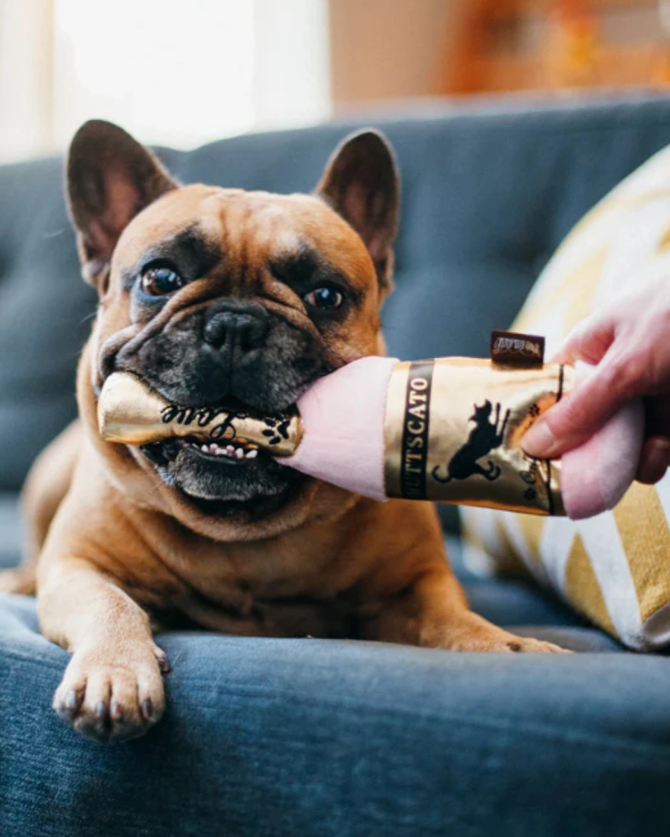 Pet P.L.A.Y. Kärleksbubbel Hundleksak