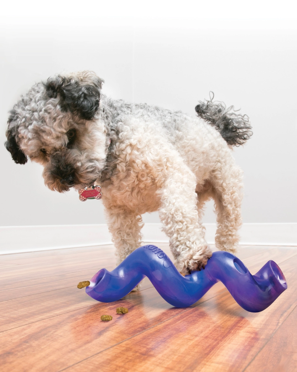 KONG Treat Spiral Stick