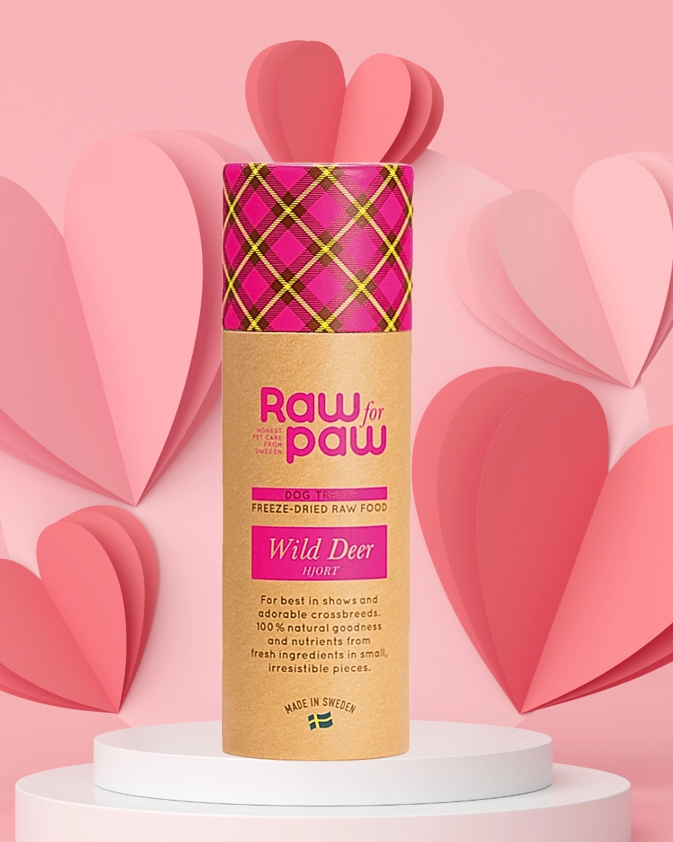 Alla Hjärtans Dag Box - Kanin och Kärlek