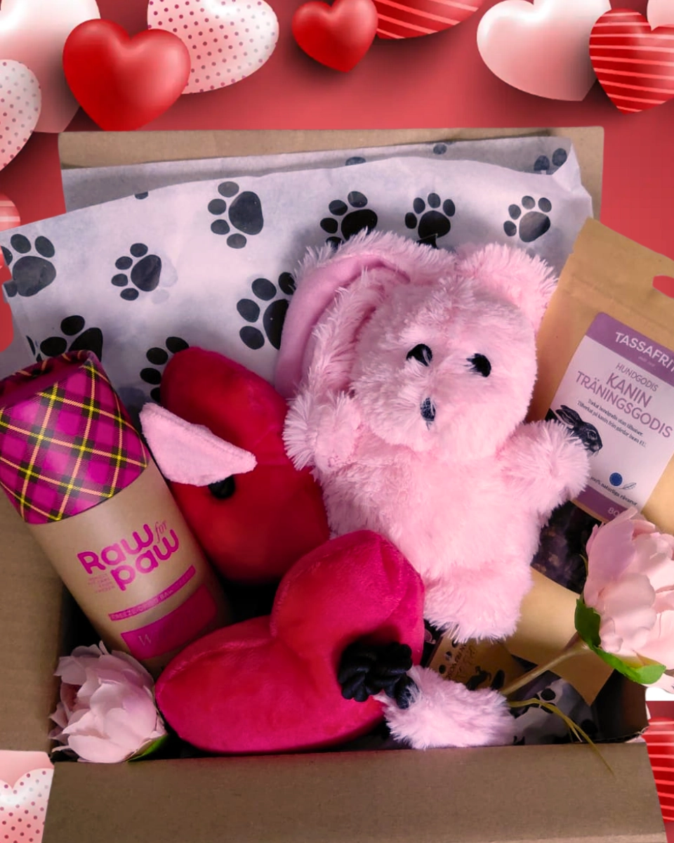 Alla Hjärtans Dag Box - Kanin och Kärlek