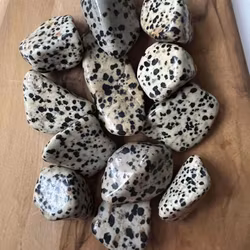 Dalmatiner Jaspis - trumlad