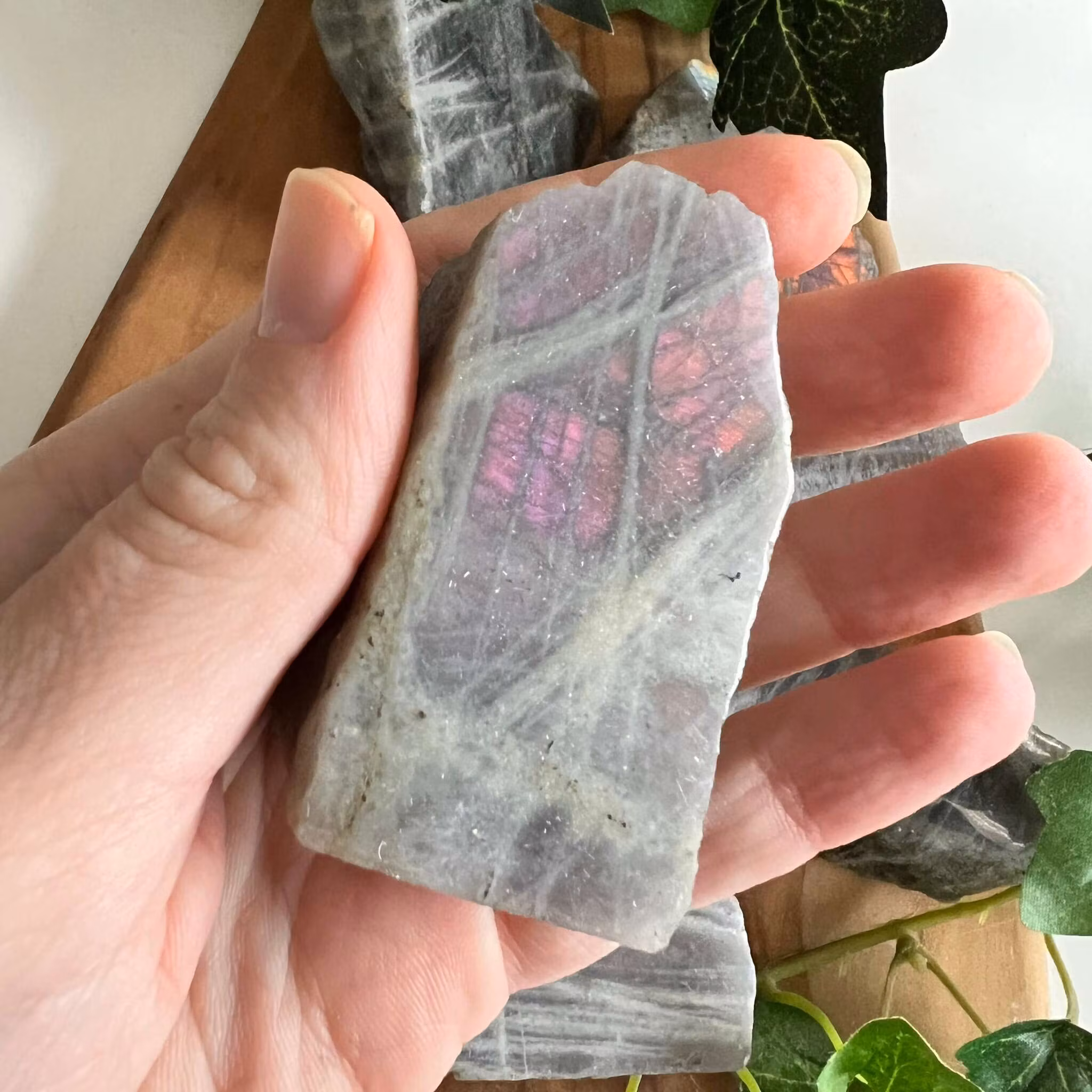 Labradorit skivor lila/rosa