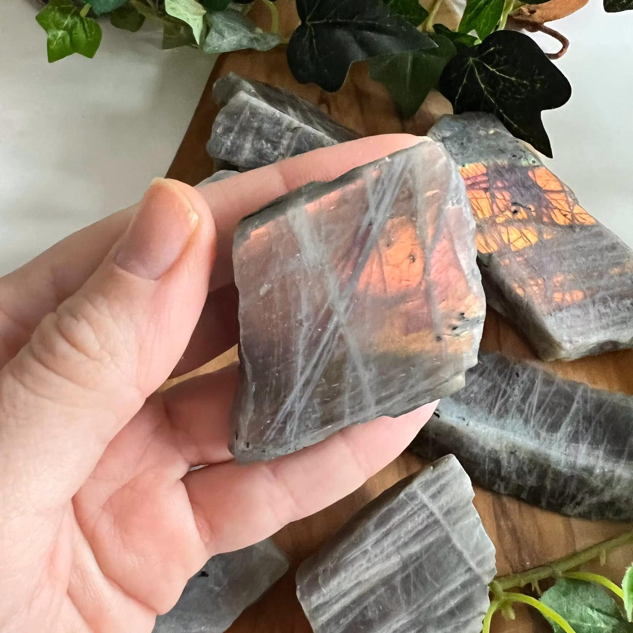 Labradorit skivor lila/rosa