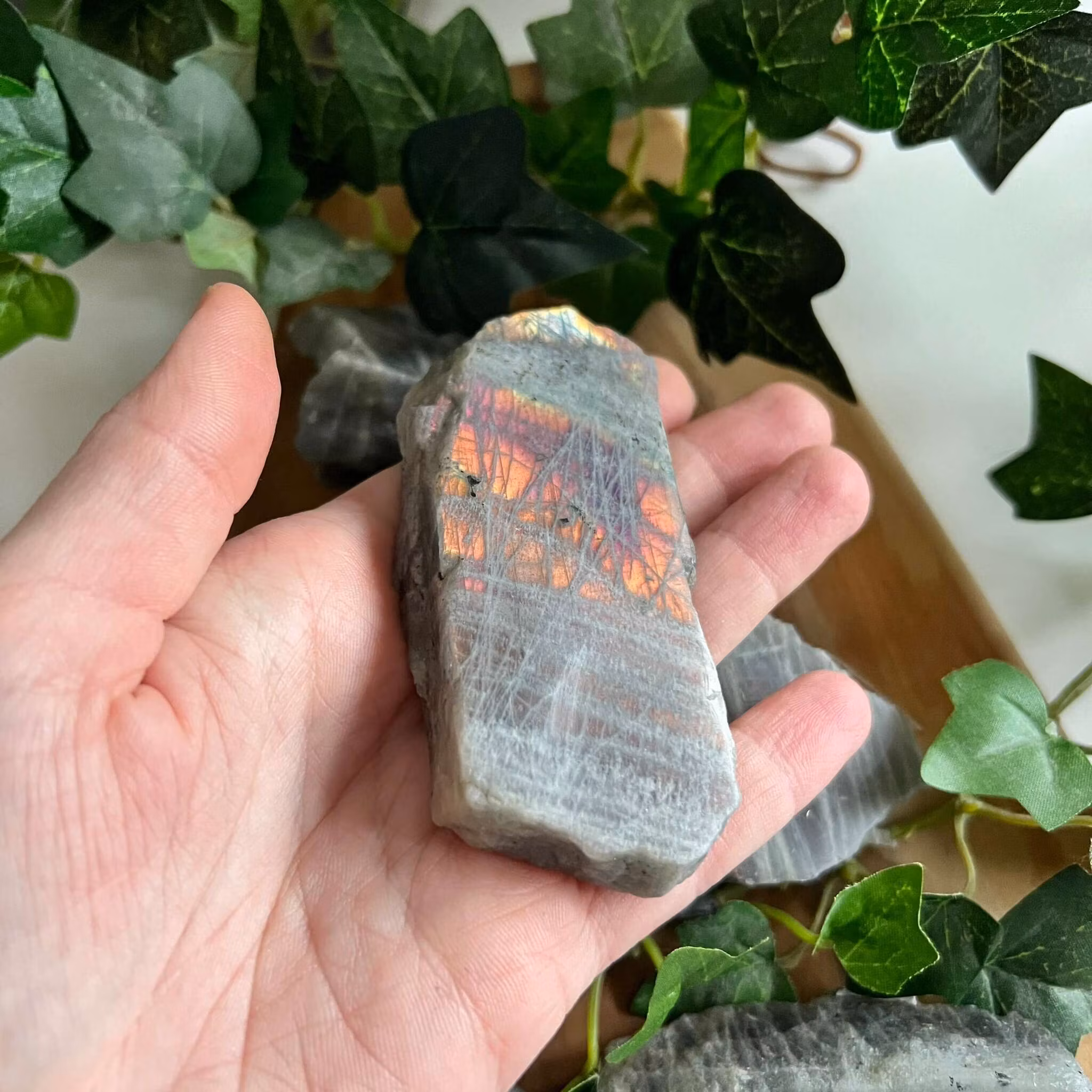 Labradorit skivor lila/rosa