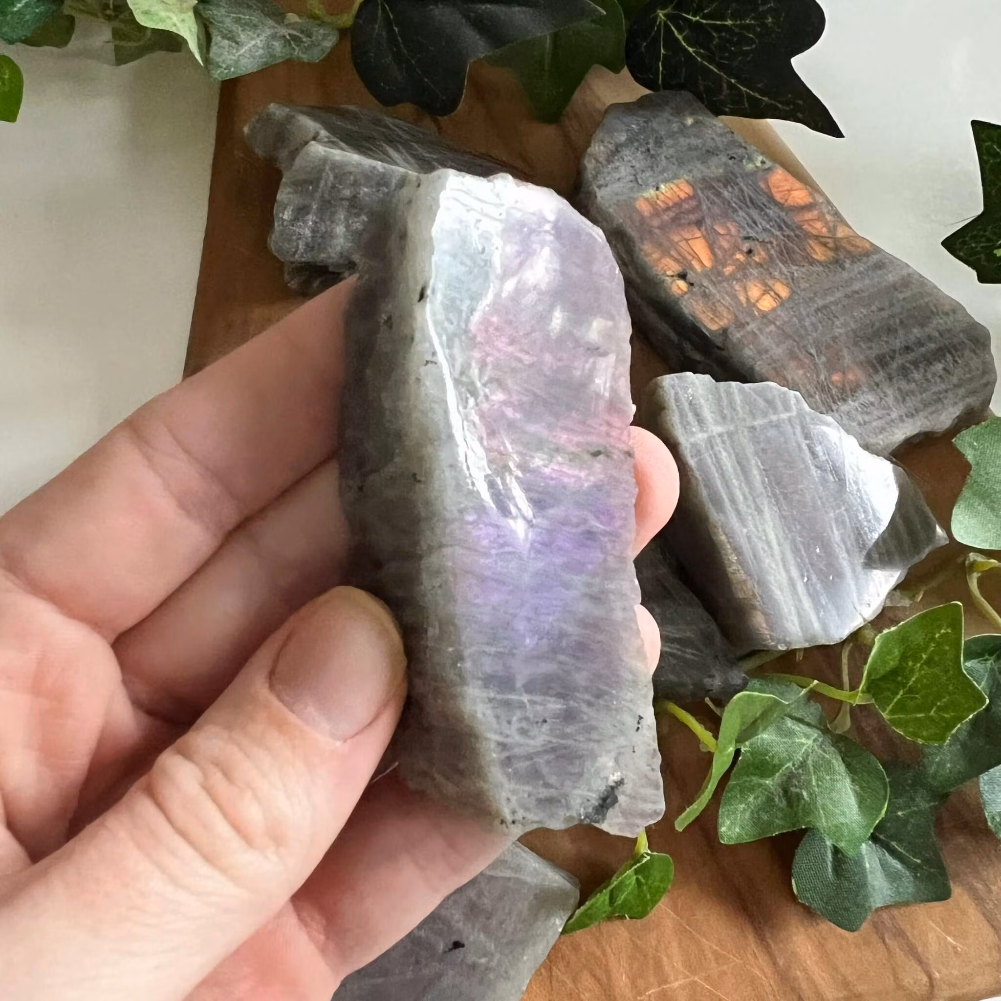 Labradorit skivor lila/rosa