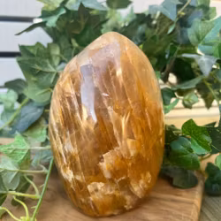 Golden healer friform STOR