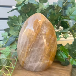 Golden healer friform STOR