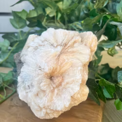 Stilbit Kluster STOR