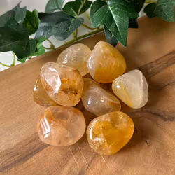 Golden healer - trumlad