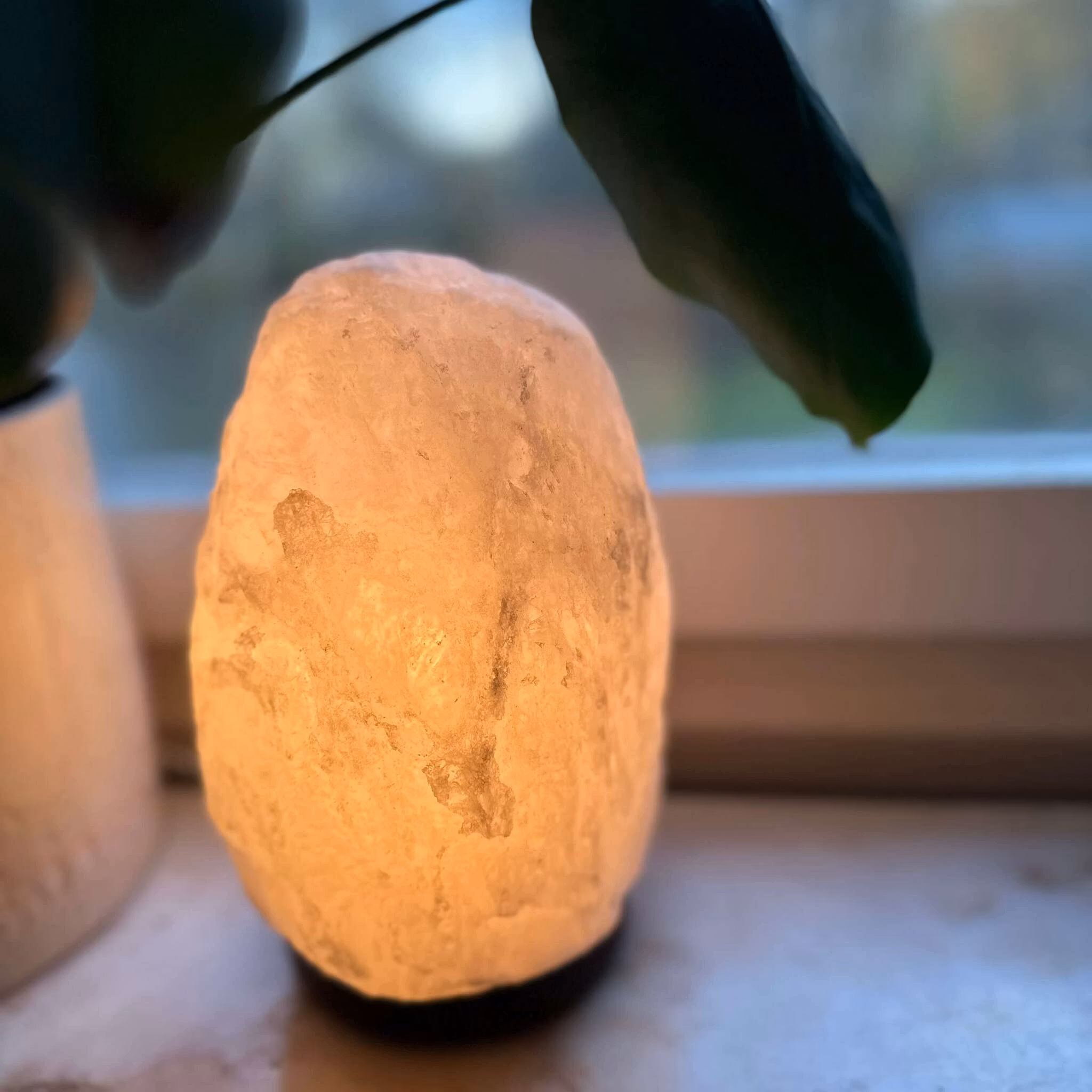 Lampor i Saltsten