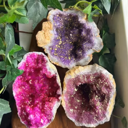 Geod halvor Rosa/Lila - mellan