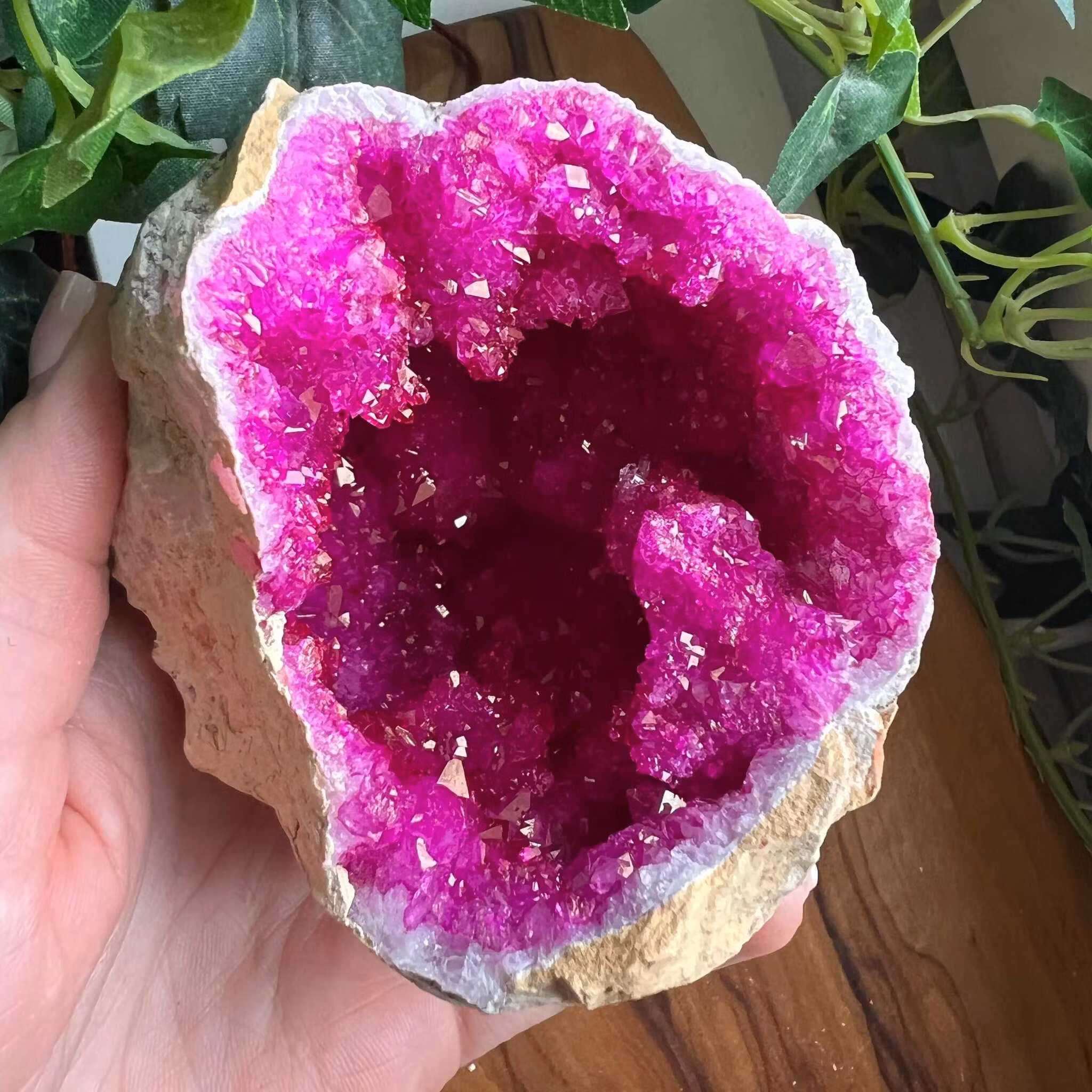 Geod halvor Rosa/Lila - mellan