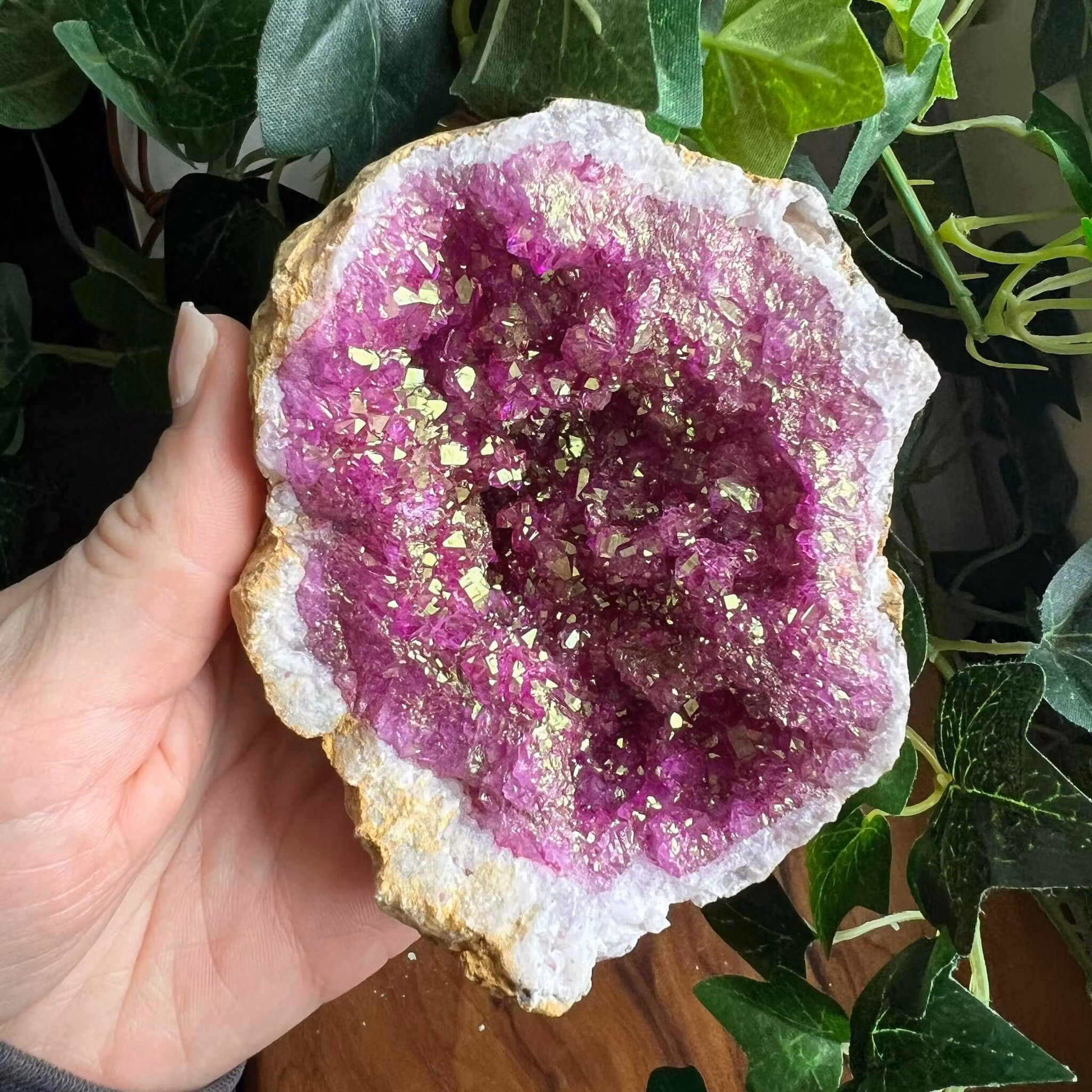 Geod halvor Rosa/Lila - mellan