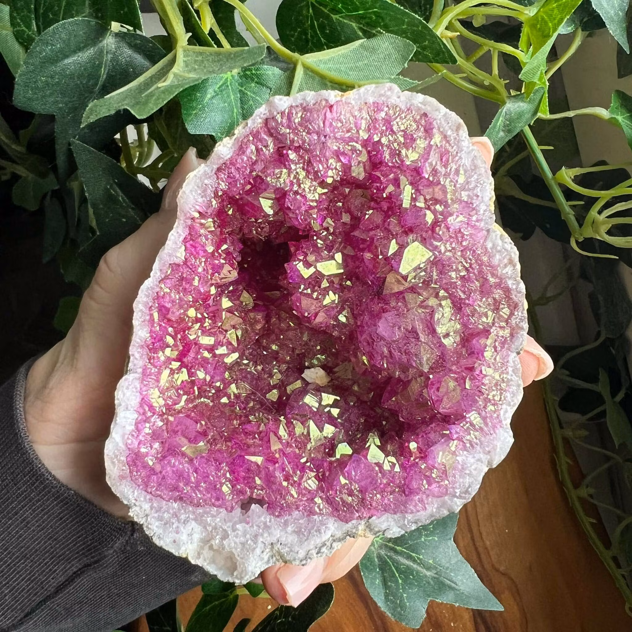 Geod halvor Rosa/Lila - mellan