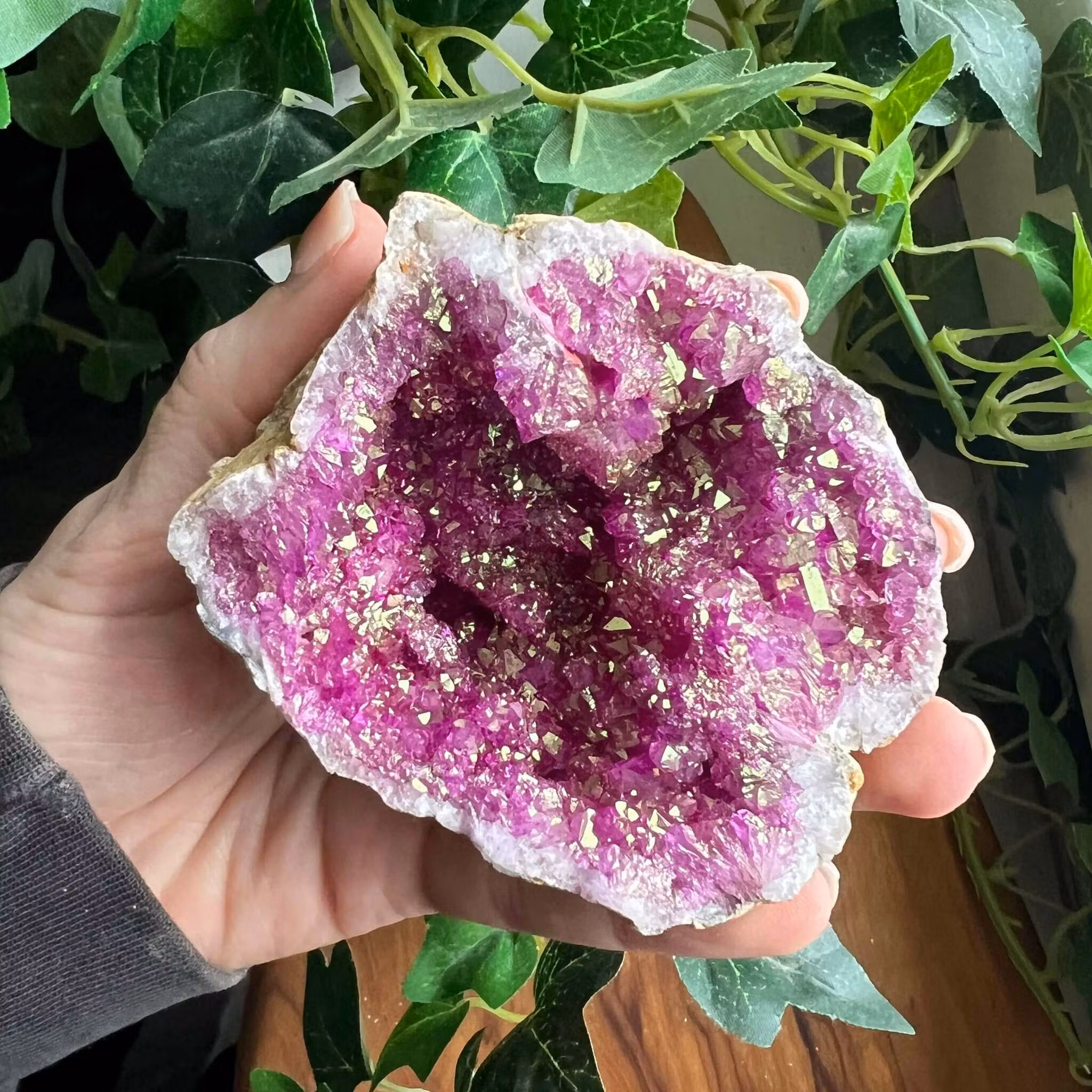 Geod halvor Rosa/Lila - mellan