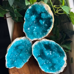 Geod halva Blå - mellan