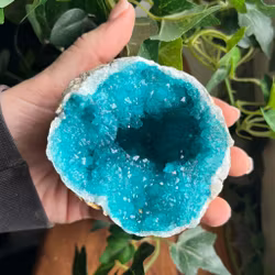 Geod halva Blå - mellan