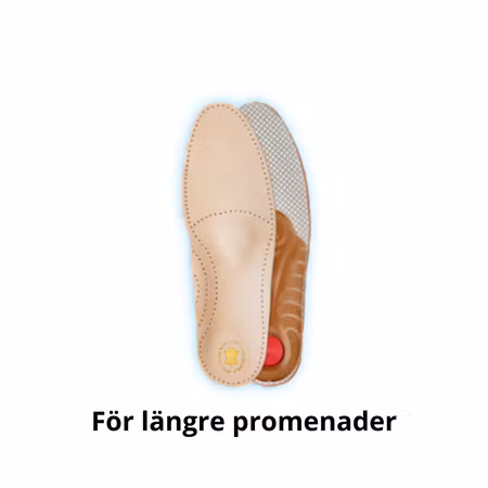 Shoeboy's Evolution Stability – Stabilitetssula