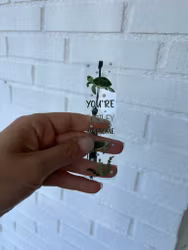 Transparent Bokmärke Turtle
