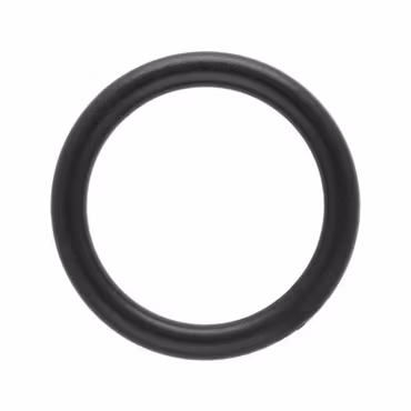 O-Ring Svart 20 x 4 mm Plast