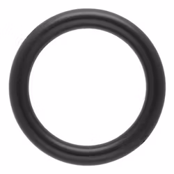 O-Ring Svart 25 x 4 mm Plast