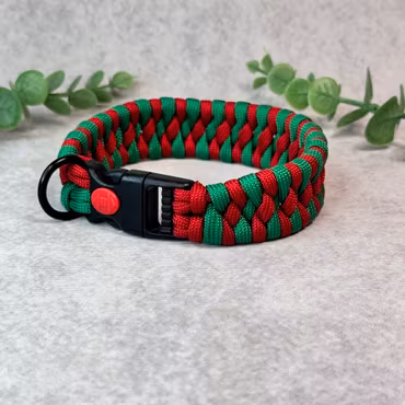 Röd/Grönt Hundhalsband med Säkerhetsspänne – För Mindre Hundar ø 23 cm