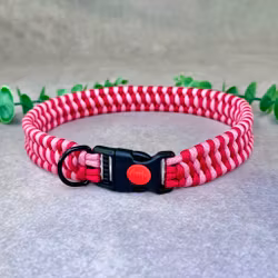 Rosa Hundhalsband med Säkerhetsspänne – ø 51 cm