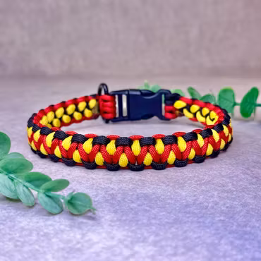 Designa ett eget handgjorda hundhalsband i mönster Dragon