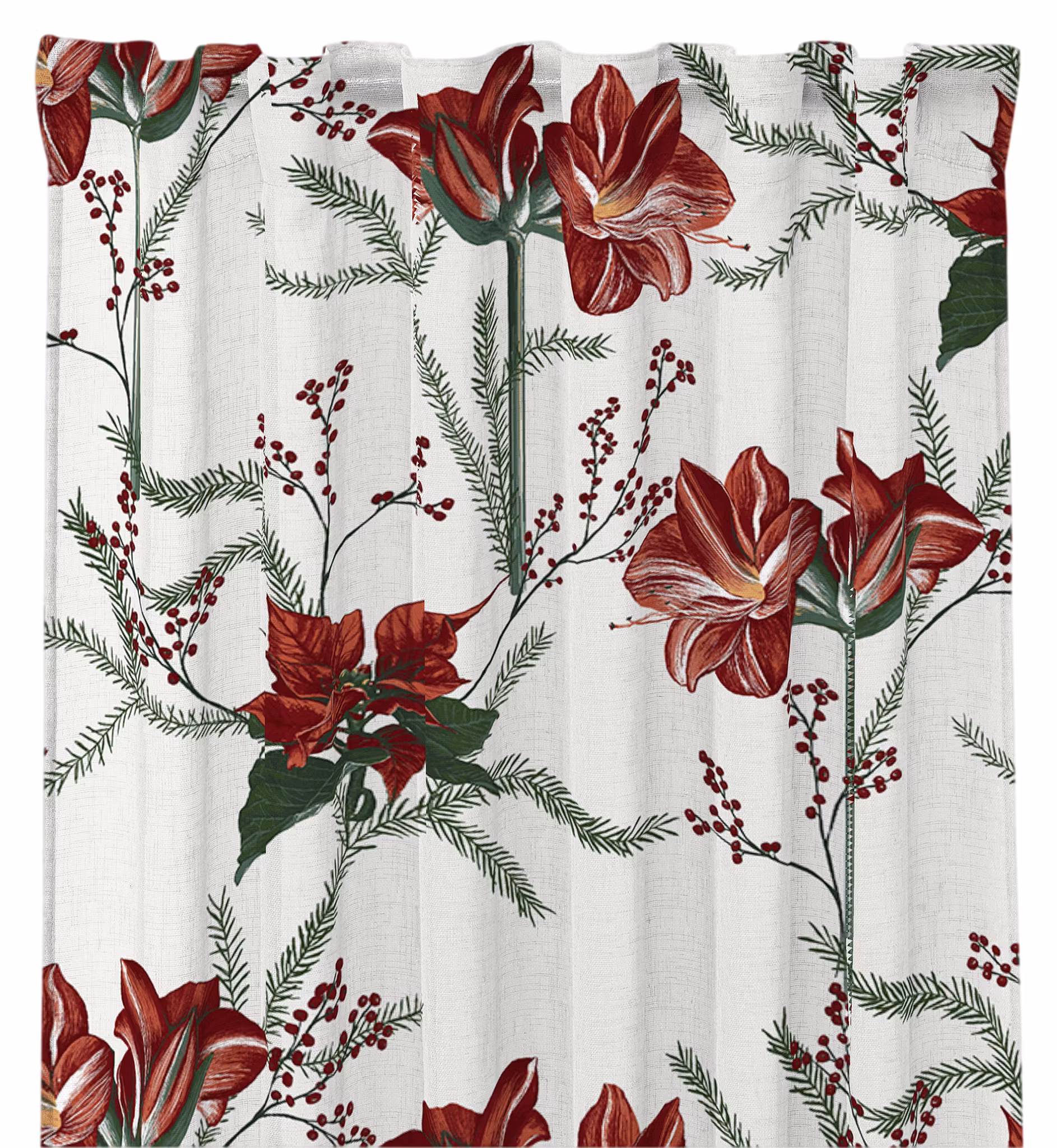 Amaryllis 300