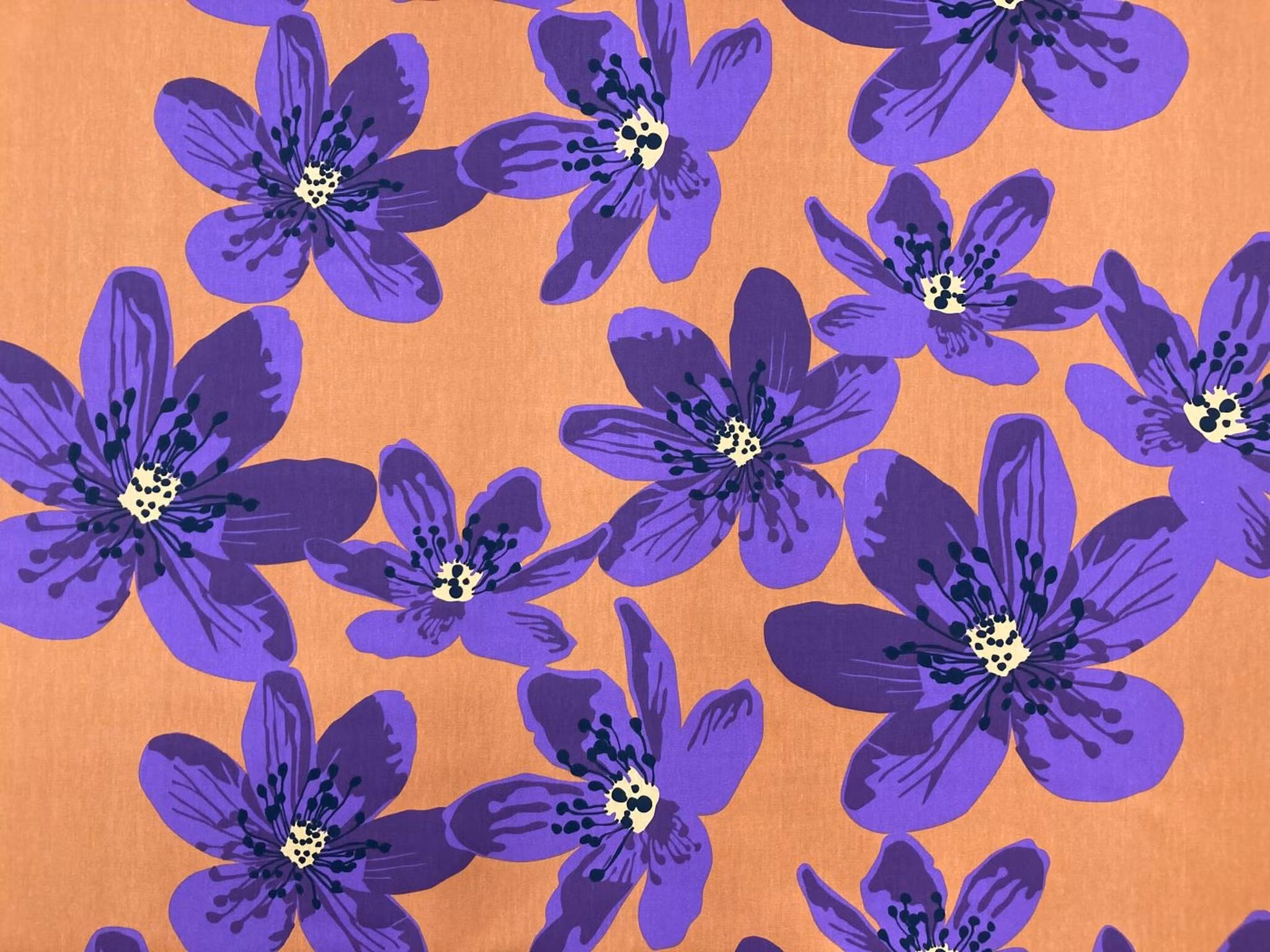 Anemone
