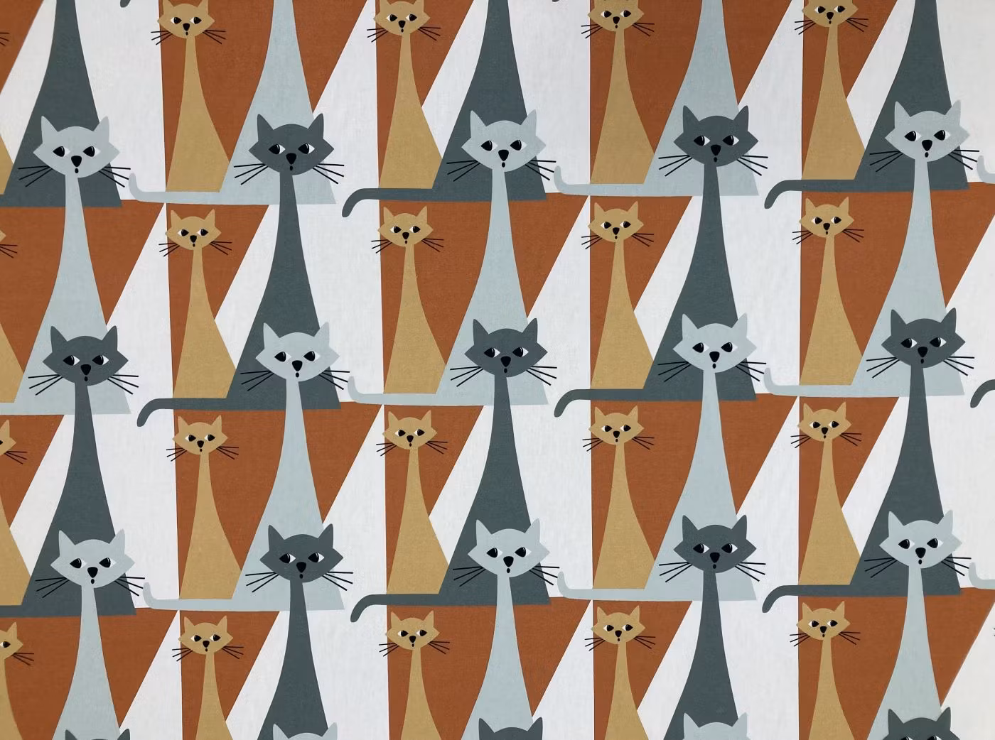 Kitty