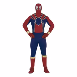 Spider hero