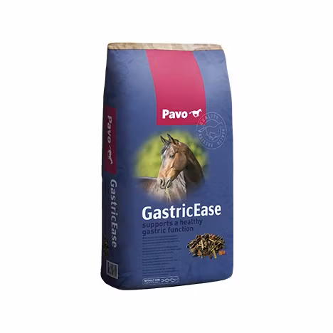 Pavo GastricEase 15 kg
