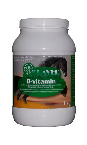 B-VITAMIN 1 KG