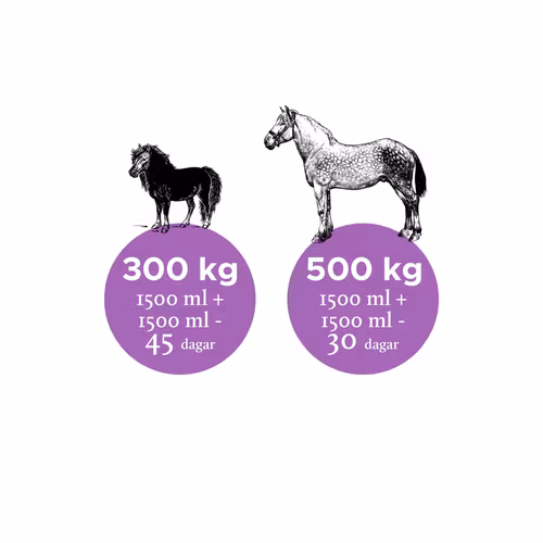 NUTROLIN HORSE JOINT DUO