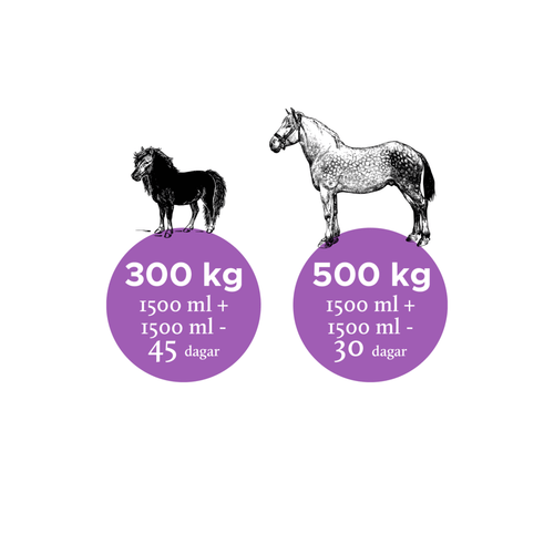 NUTROLIN HORSE JOINT DUO