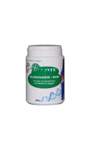 GLUKOSAMIN/MSM TABLETTER 120ST