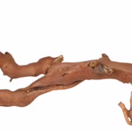 VINRANKA, BLÄSTRAD, L: 40-60 CM