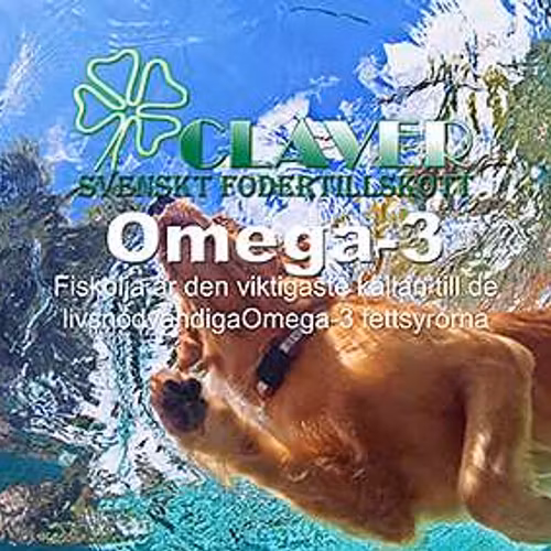 OMEGA 3