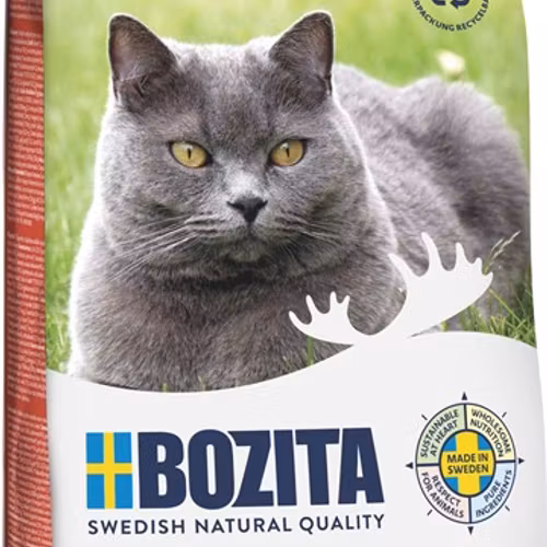 Bozita GF Senior 8+ Salmon