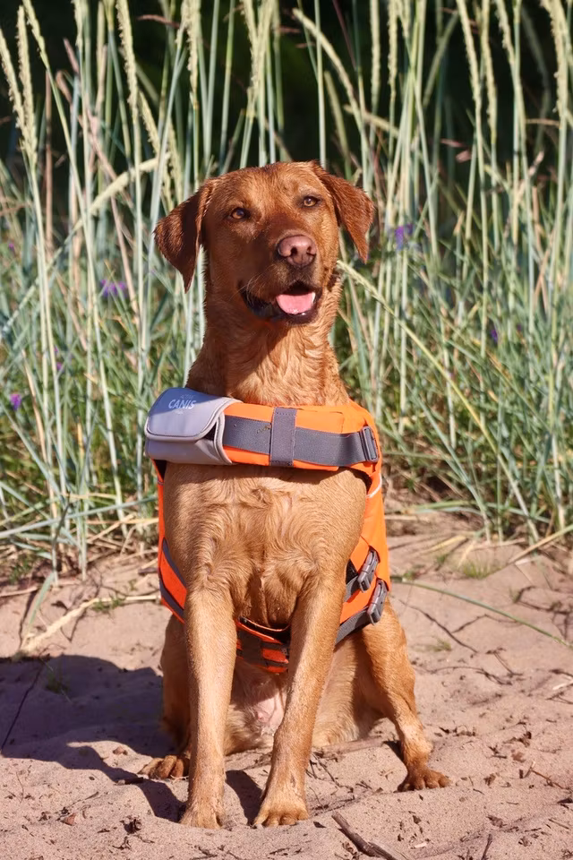 Active Canis Life Jacket