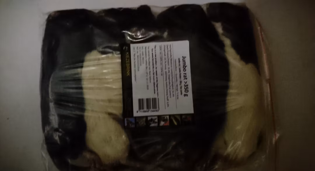 Råtta  350 - 450 gram